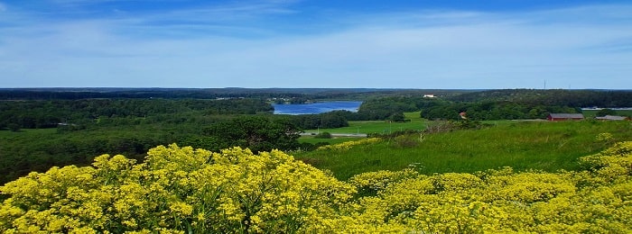 Dina Pooler Landskrona onlinebutik Pooler Landskrona